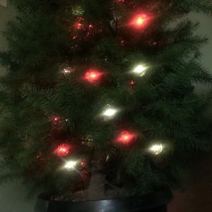 Meet your Posher, Sheila